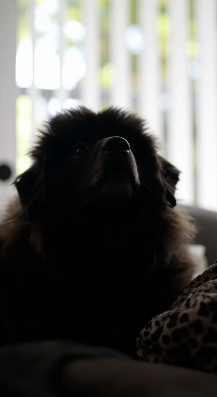 ai character: dw trip background