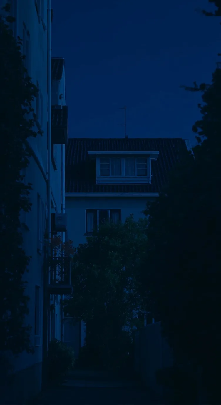 ai character: Furri 2p home🤑 background