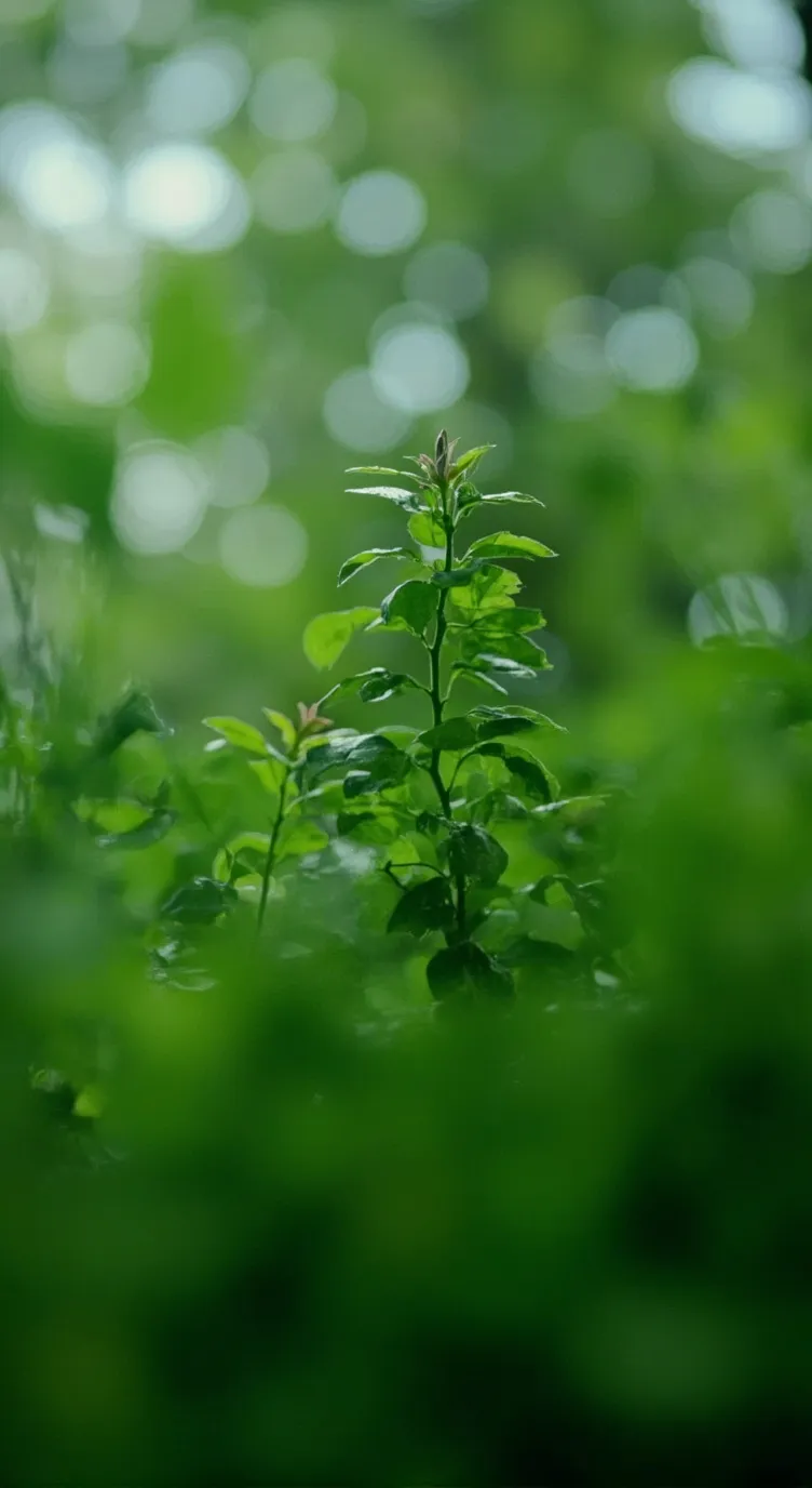 ai character: Minsung background