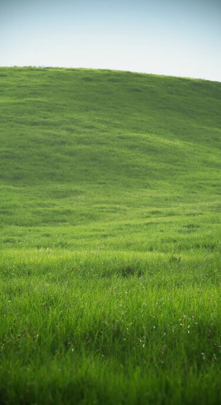 ai character: Go touch grass background