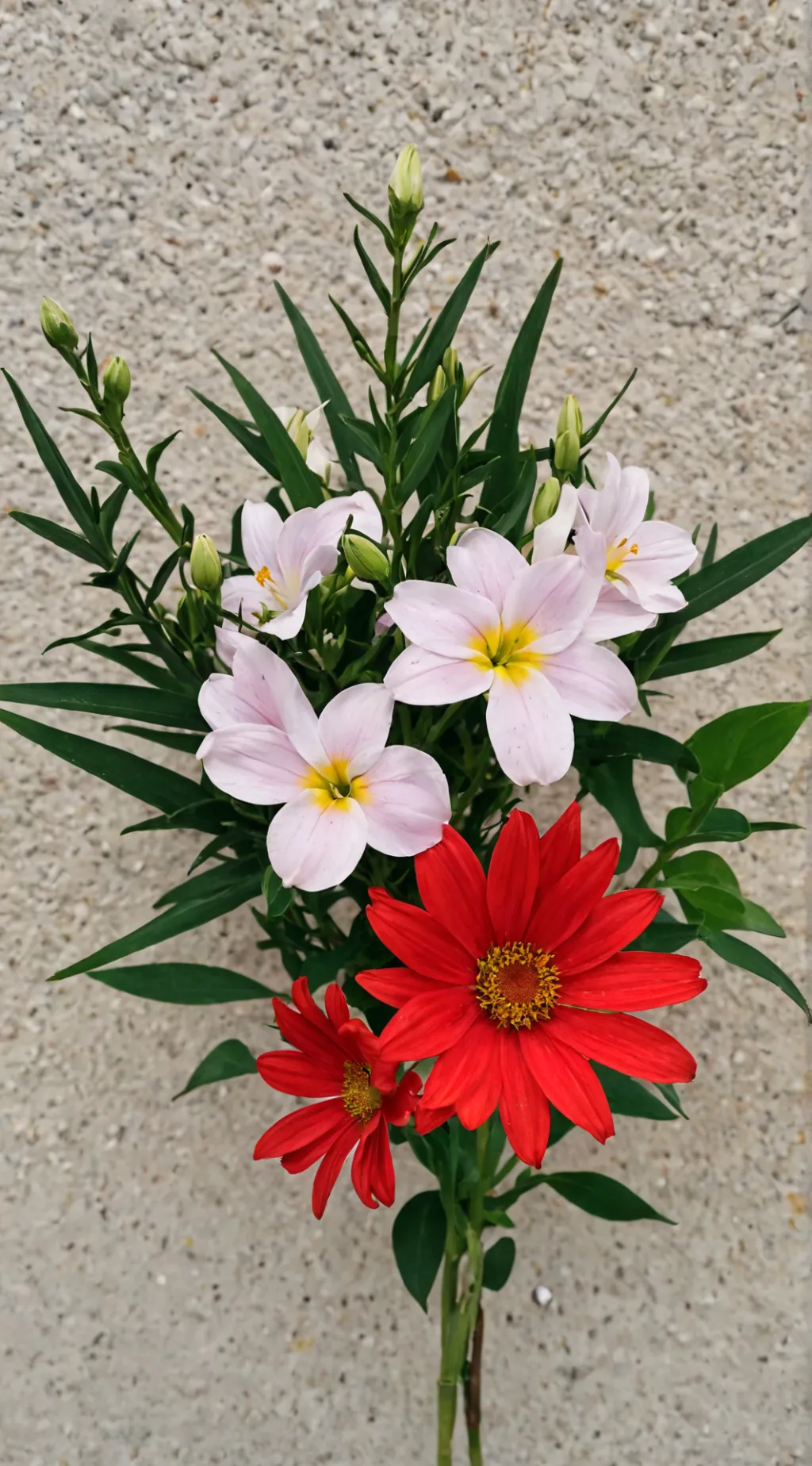 ai character: Scorpius Malfoy background