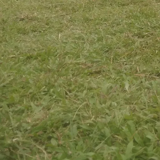 creator °★~Vee~★°'s avatar