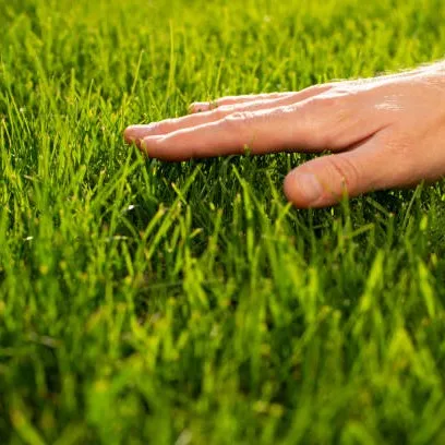 creator chill_bruh's avatar