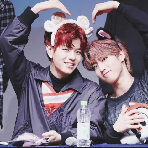 creator ✨not_my_name✨'s avatar