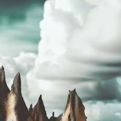 chat with ai character: Color hearts