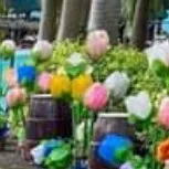 creator aganda's avatar