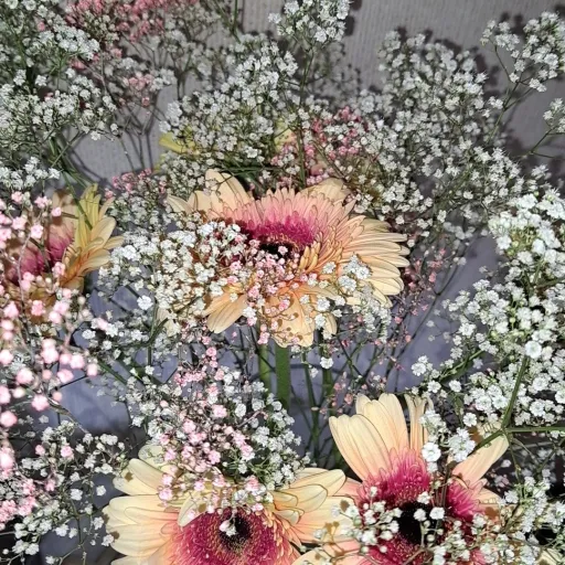 creator -Ninu-28's avatar