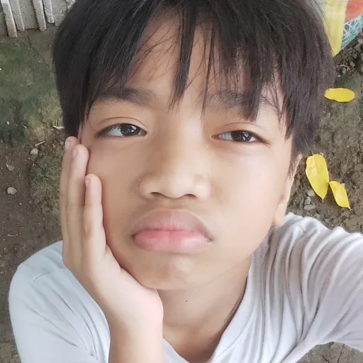 creator nicoloooooo's avatar