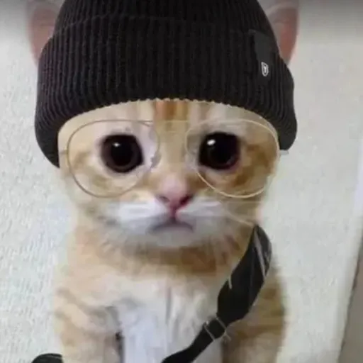 creator Heart4_boba's avatar