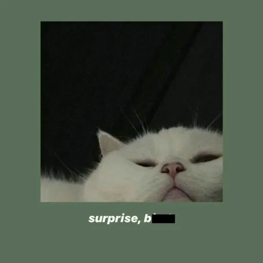 creator akuyaku...'s avatar