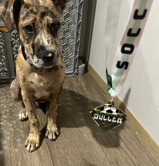 creator 🐾Teako🐾's avatar