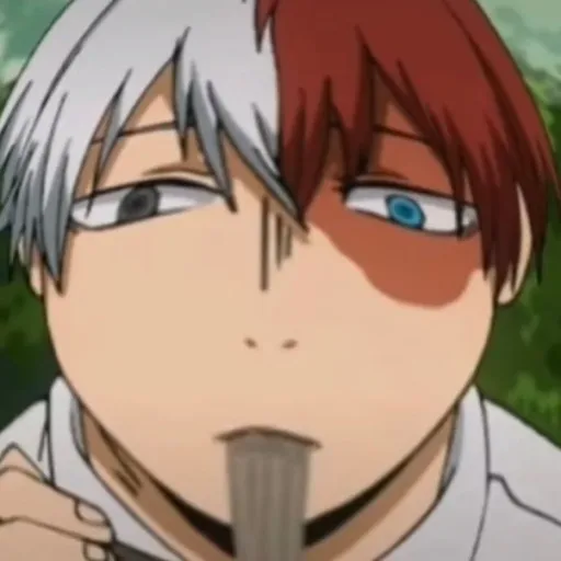 creator ✨🧊Todoroki🔥✨'s avatar