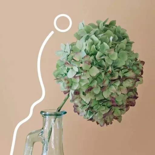 creator Syitahdontknowme's avatar