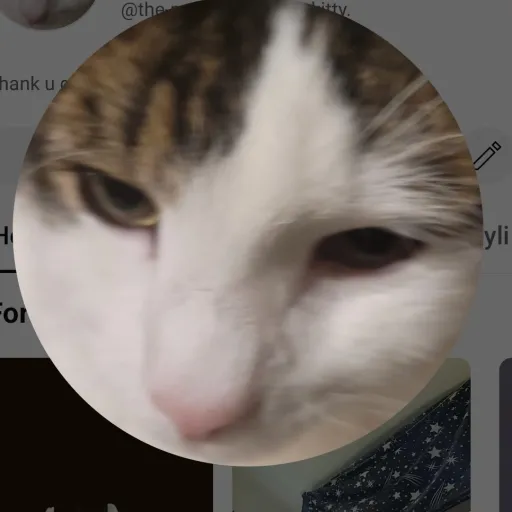 creator fluffycutekittykin's avatar