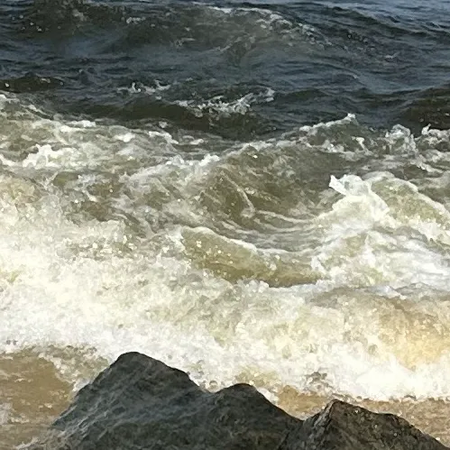 creator 1Harry Potter fan's avatar