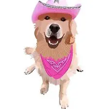 creator Isla…….'s avatar