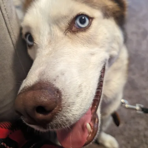 creator U-PNGB7NmteF8sN's avatar