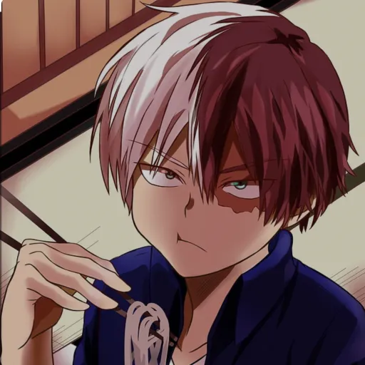 creator Shoto_Todorki's avatar