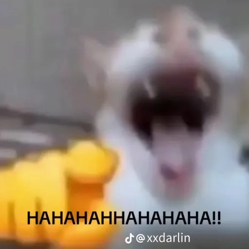 creator dabatour's avatar