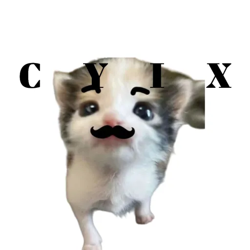 creator 𝗖𝗭𝗜𝗫  ʟᴏᴜ's avatar