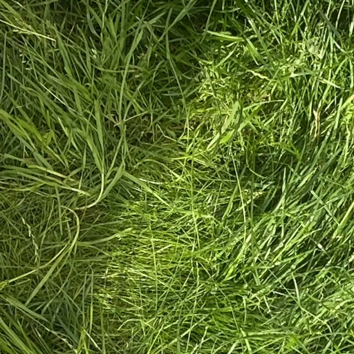 creator Zacron's avatar