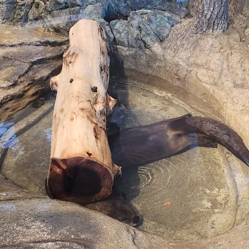 creator princes.'s avatar