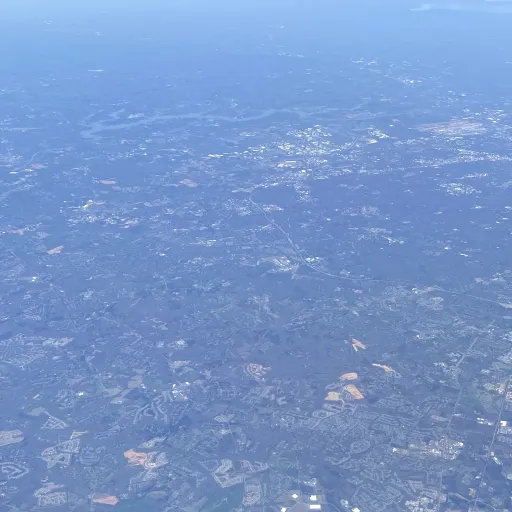 creator Miss Ross's avatar