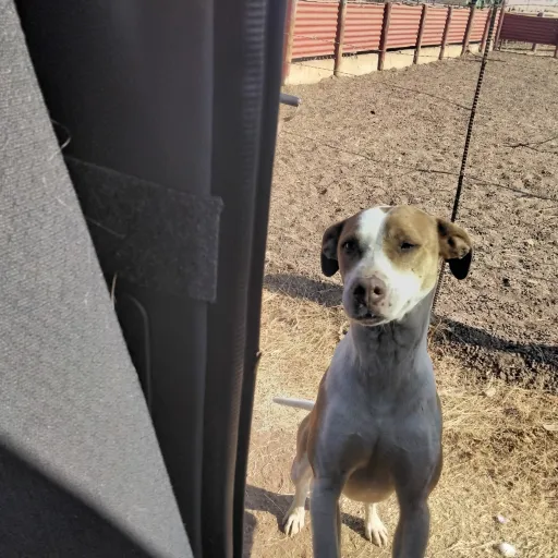 creator 1D ,skz fan's avatar