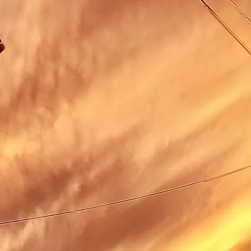 creator §ªsuma¥∆'s avatar