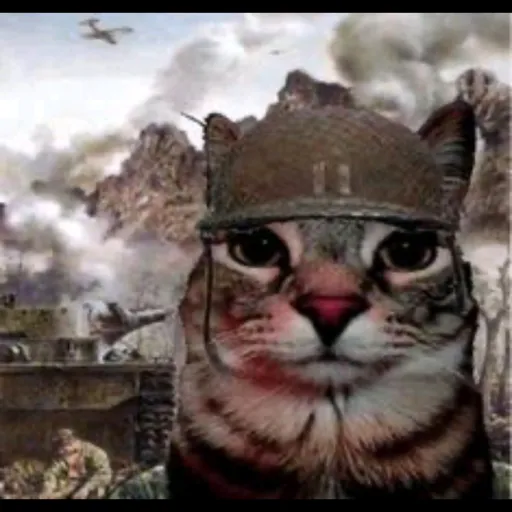 creator @Roach 🇧🇷 🤝🇺🇲's avatar