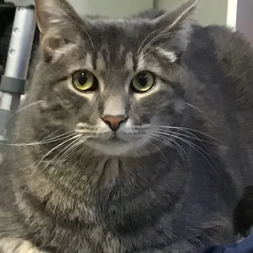 creator Jack Jack333's avatar