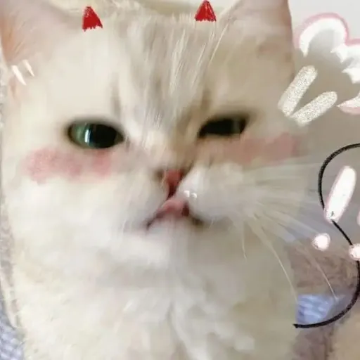 creator Jiro♡'s avatar