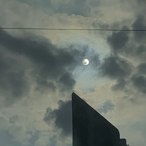 creator Sonia•Waterwave's avatar