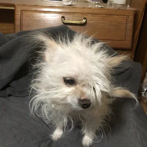 creator Izzyoandy123's avatar