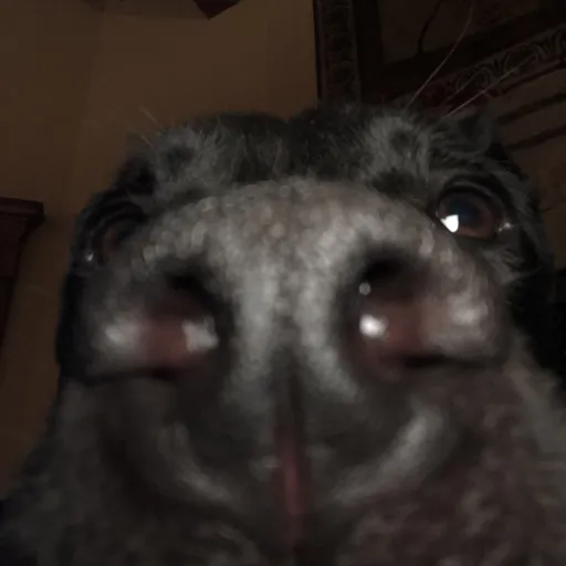 creator ✨💅StRaY KiDs💅's avatar