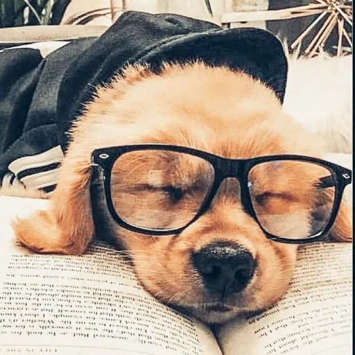 creator Anna Miller's avatar