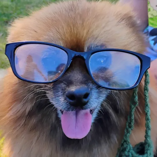 talkie's author avatar