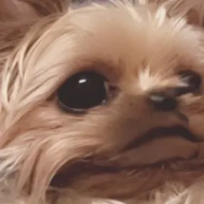 creator Mimi is nice's avatar