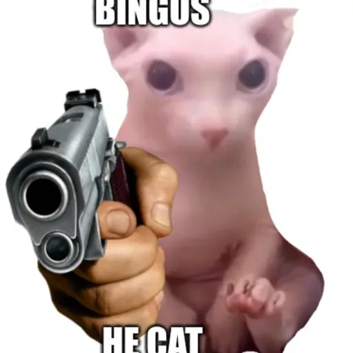 creator bingus_cat's avatar
