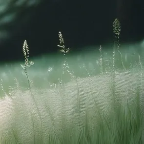 chat with ai character: Touch Grass Bro 💀