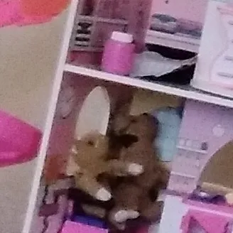 creator kito98798798798798's avatar