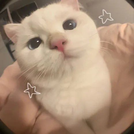 creator Lexnothere's avatar