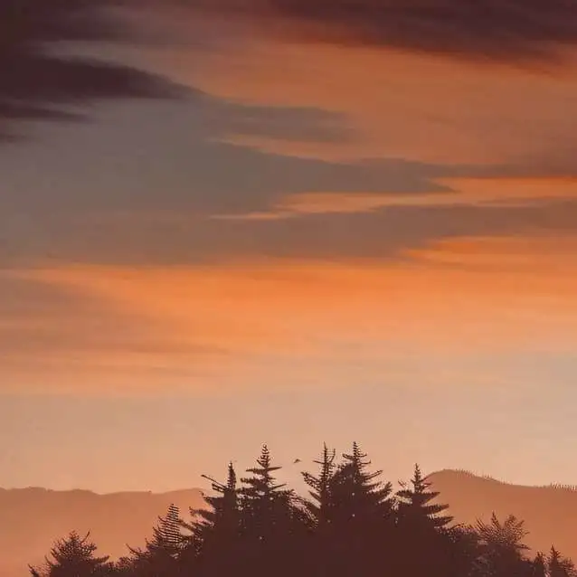 chat with ai character:  muichiro&yuichiro