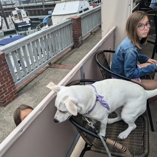 creator Talkior-su60SE9H's avatar