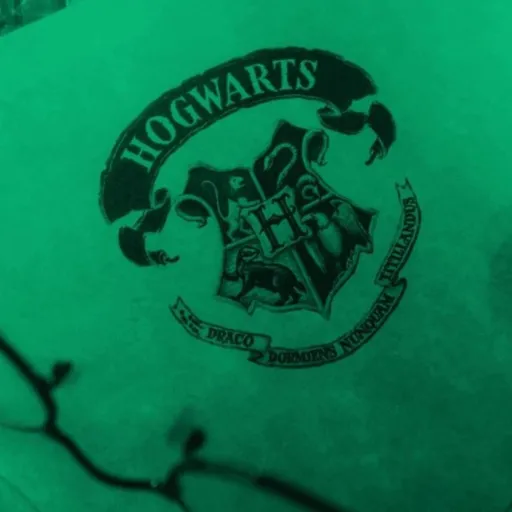 creator ✰𝕾𝖍𝖆𝖕𝖕𝖞 𝕾𝖑𝖞𝖙𝖍𝖊𝖗𝖎𝖓✰'s avatar