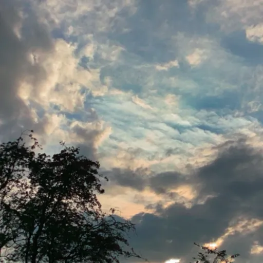 creator 🖕🏻💋Evelyn's avatar