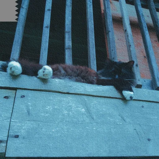 creator allisonmigwans3's avatar