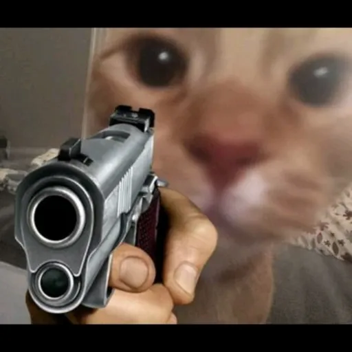 creator Badminy's avatar