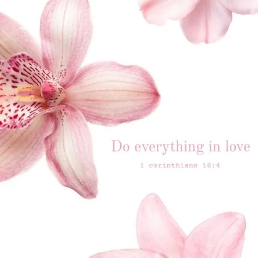 creator Ta31yn's avatar