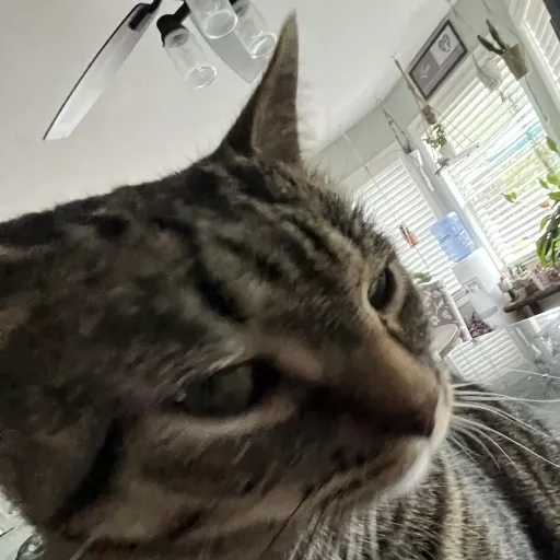 creator ~Naddie~'s avatar